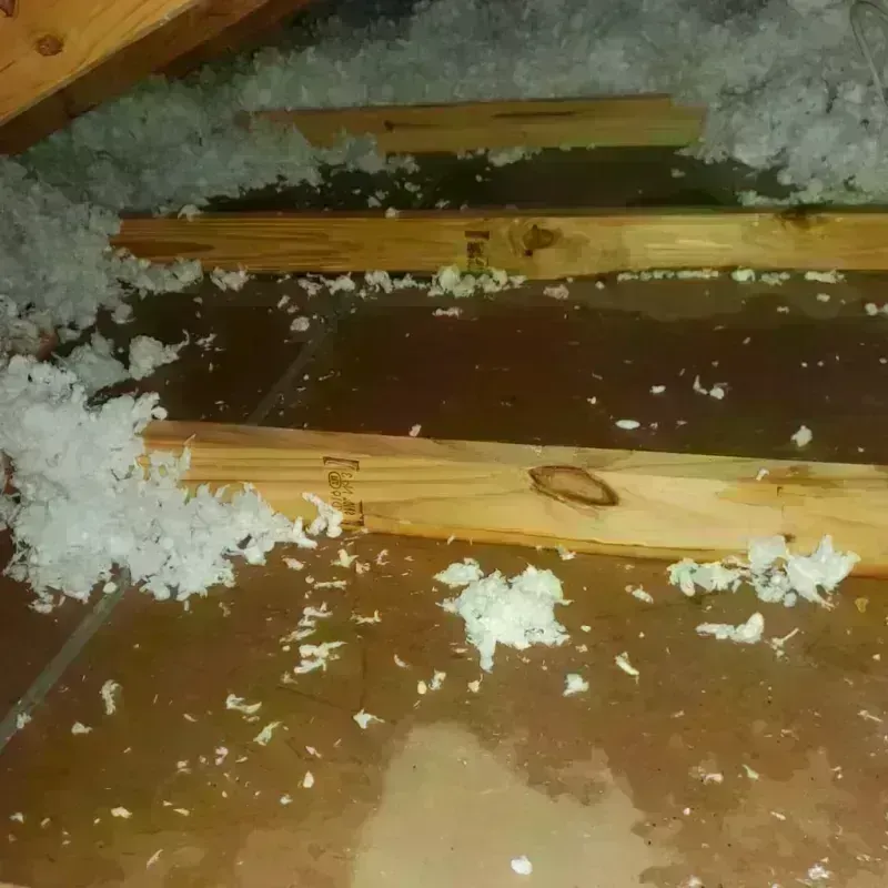 Attic Water Damage in Howard Beach, NY